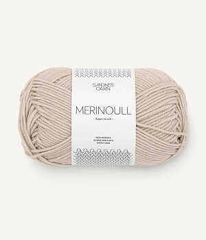 2321 Marsipan, Merinoull
