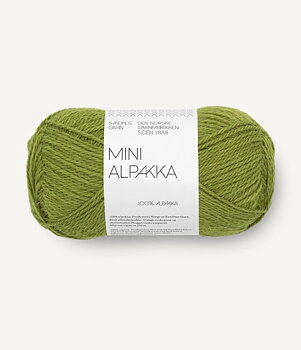 9564 Matcha, Mini Alpakka