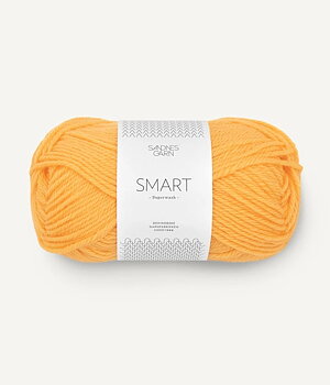 2206 Gul, Smart