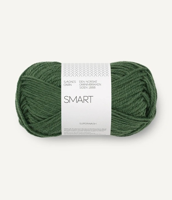 8082 Skogsgrön, Smart
