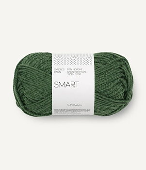 8082 Skogsgrön, Smart