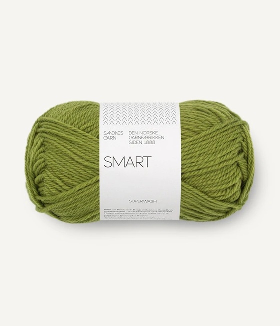 9564 Matcha, Smart