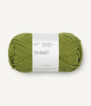 9564 Matcha, Smart
