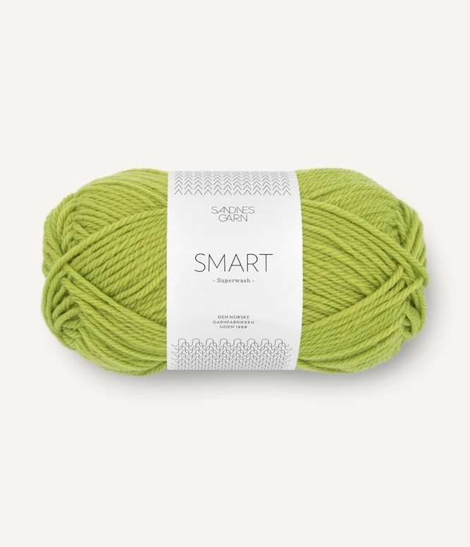 9825 Limegrön, Smart