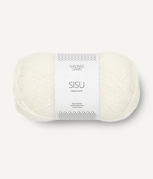 1002 Vit, Sisu