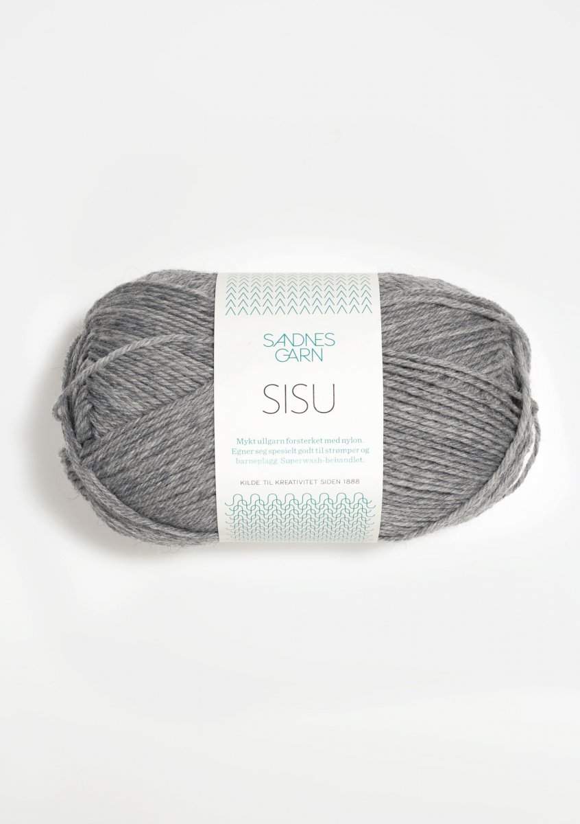 1042 Grå, Sisu