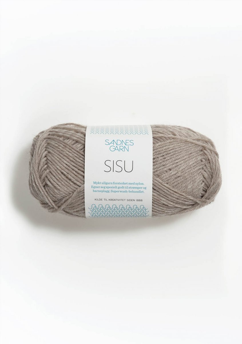 2650 Brun, Sisu