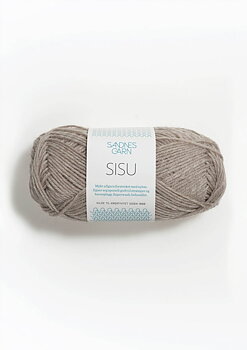 2650 Brun, Sisu