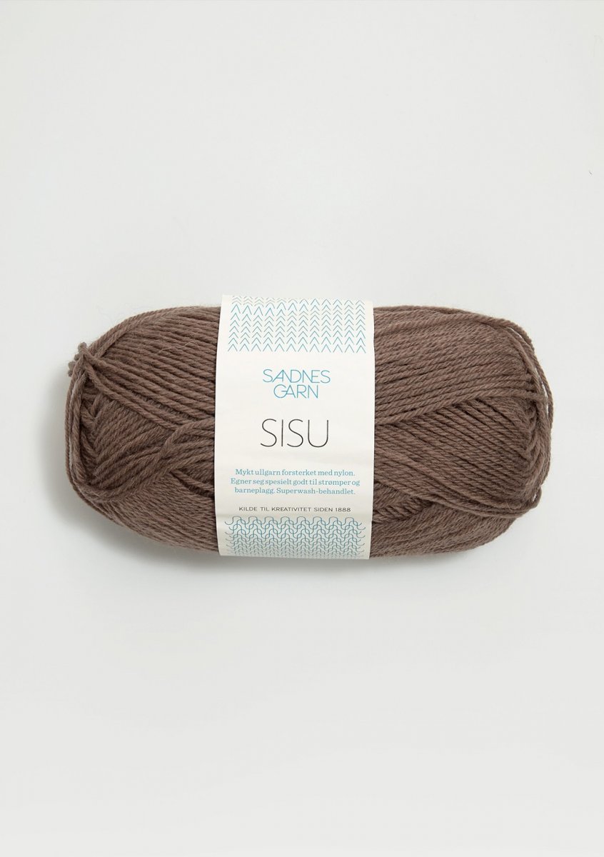 3161 Mellanbrun, Sisu