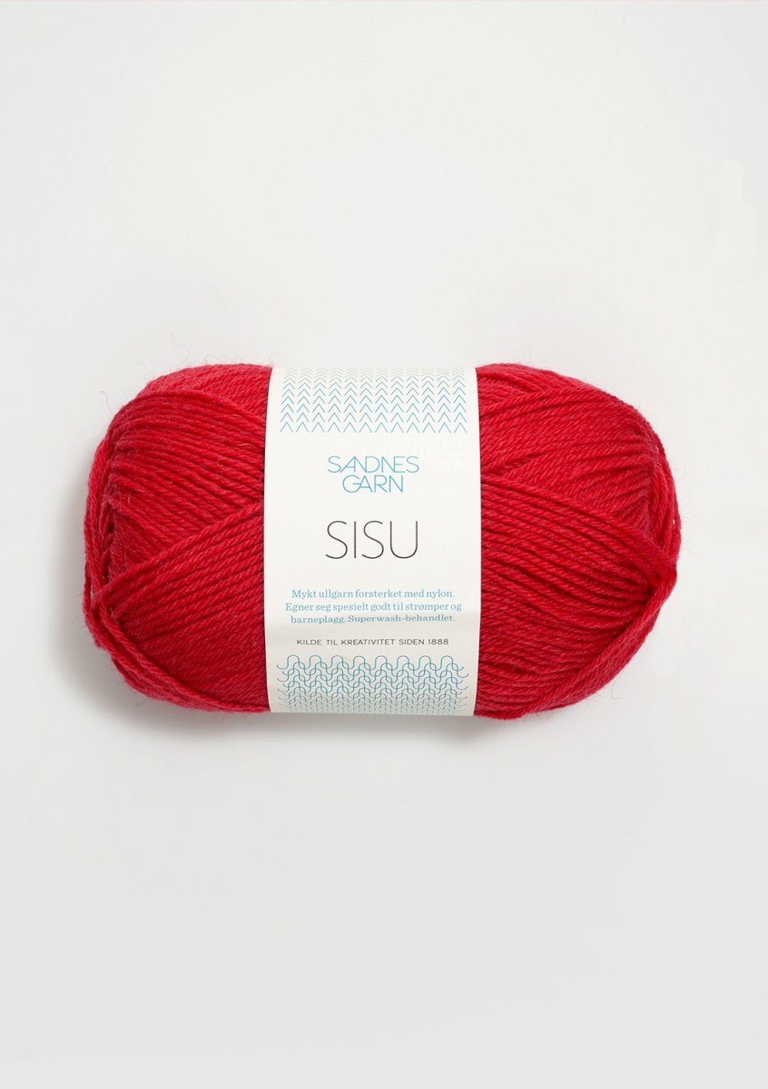 4219 Röd, Sisu