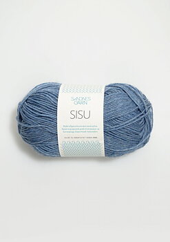 6324 Blåmelerad, Sisu