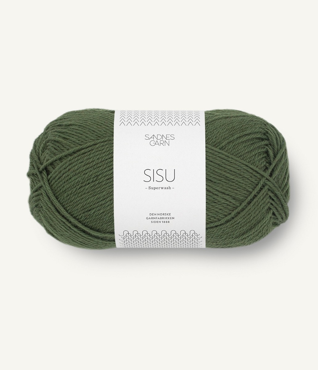 9573 Mossgrön, Sisu