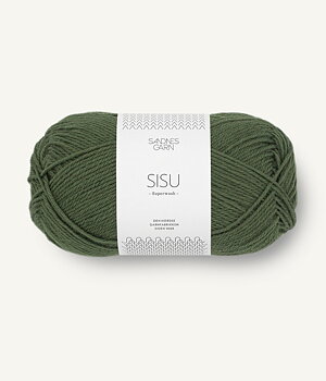 9573 Mossgrön, Sisu