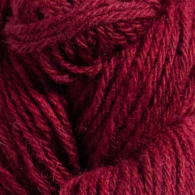 59123 Blackcurrant Shrub, Svensk Ull 4-tr - 3