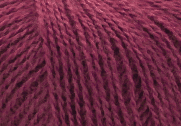 880410 Plum, Leonora