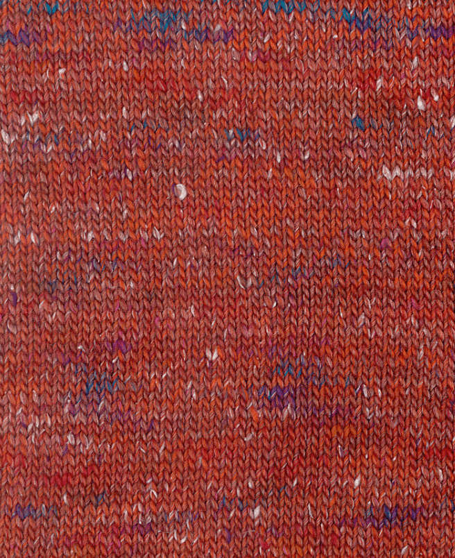 880530 Bränd orange, Kamelia - 2
