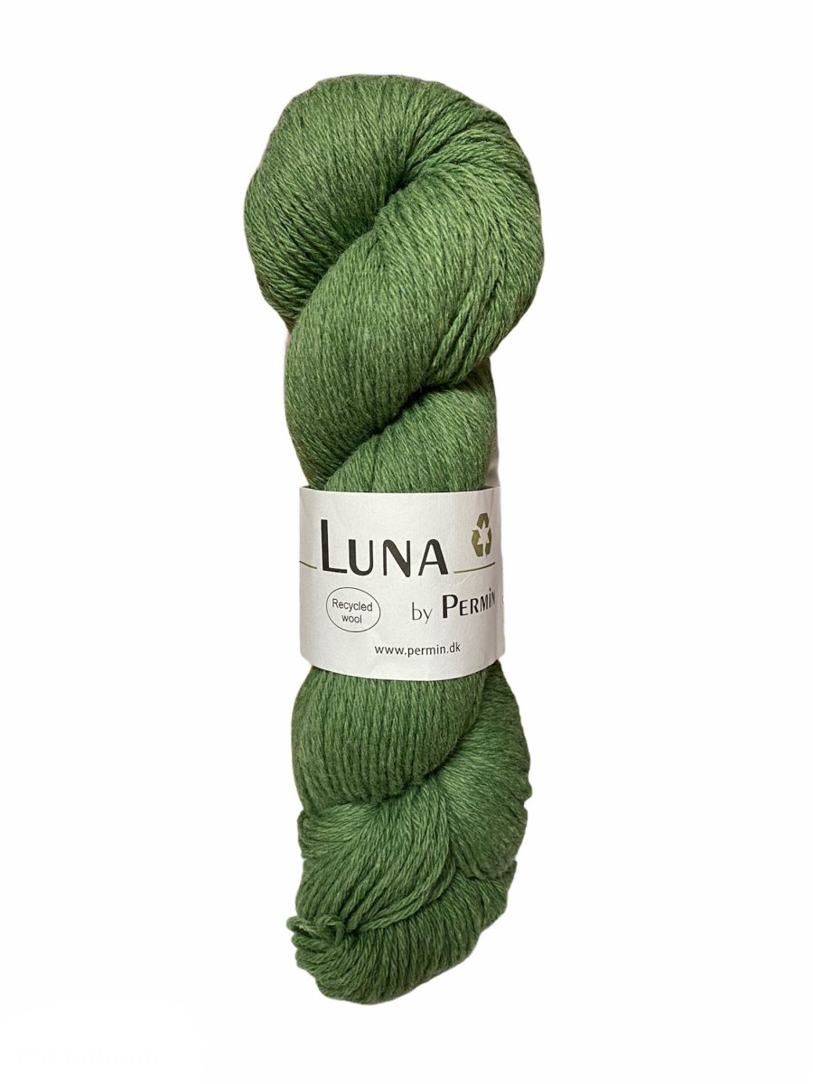 889024 Äppelgrön, Luna