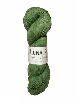 889024 Äppelgrön, Luna