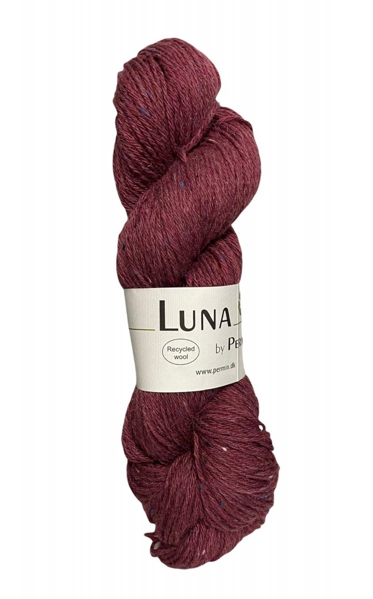 889025 Hallon, Luna