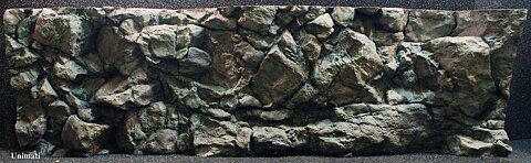 RockZolid - Komodo 158x58cm