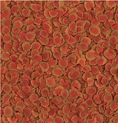 Tetra - Pro Colour 10L