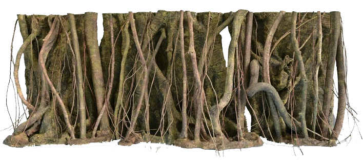 RockZolid - Tropical Forest Roots 198x58cm