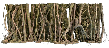 RockZolid - Tropical Forest Roots 198x58cm