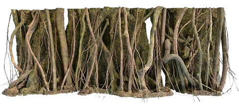 RockZolid - Tropical Forest Roots 198x58cm