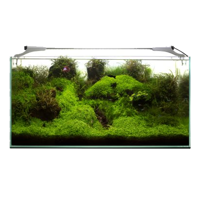 Aquael - Leddy Slim Marine 36W - 4
