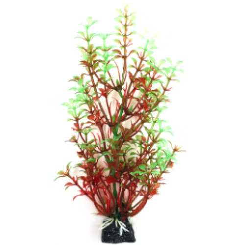 AK - Bacopa röd/grön 18cm