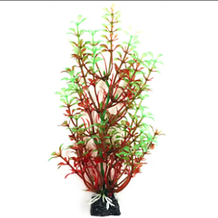 AK - Bacopa röd/grön 18cm