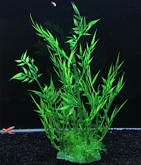 AK - Bambu 33cm