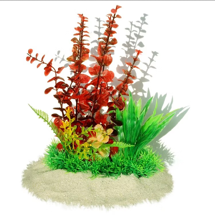 AK - Bacopa red 26cm