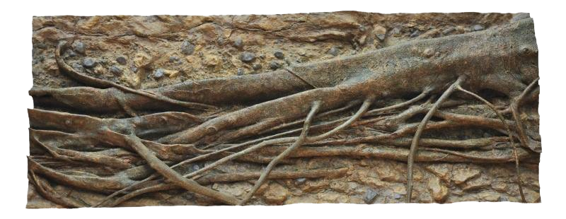 RockZolid - Tropica Forest Tree 198x78cm