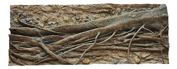 RockZolid - Tropica Forest Tree 198x78cm