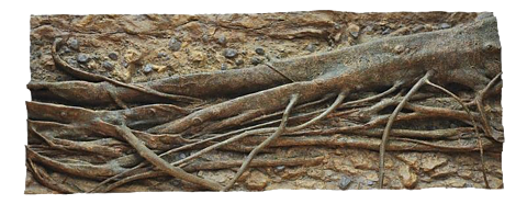 RockZolid - Tropica Forest Tree 198x78cm