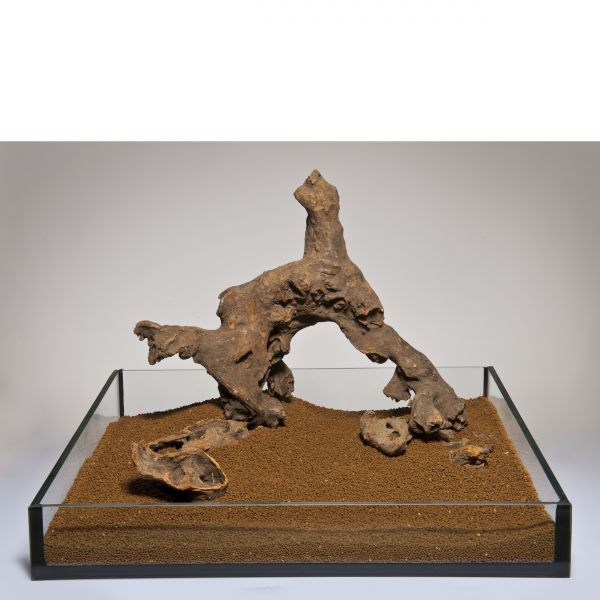 Aquadeco - Dekor Savannah Wood 