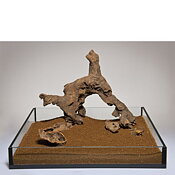 Aquadeco - Dekor Savannah Wood 