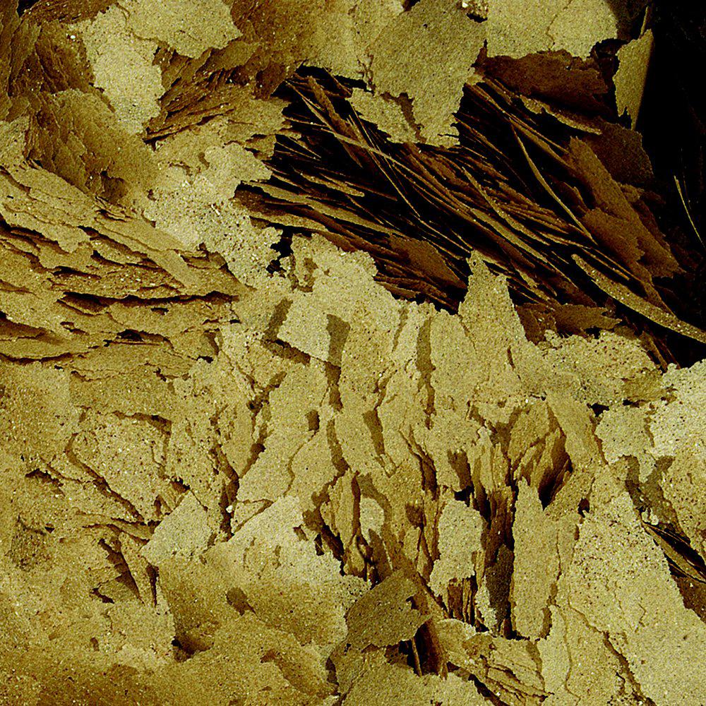 Tropical special mix blister dpvr - Diepvries visvoeders