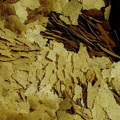 Tropical - Breeder Mix 21L/4kg