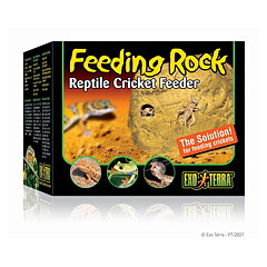 Exo Terra - Feeding Rock Cricket