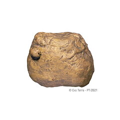 Exo Terra - Feeding Rock Cricket