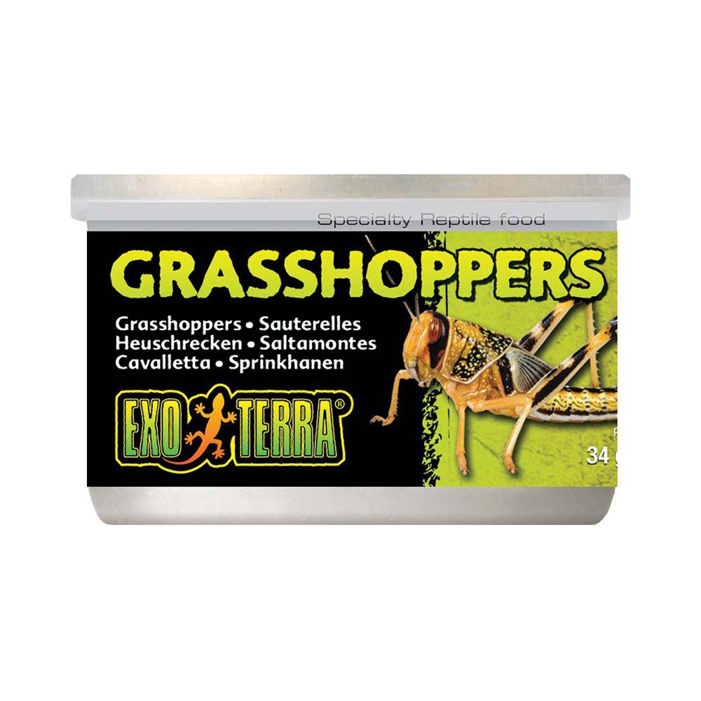 Exo Terra - Konserverade Gräshoppor 34g
