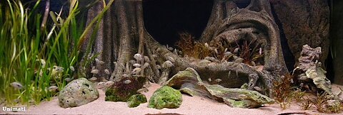 RockZolid - Tropical Forest Tree Trunk 198x58cm