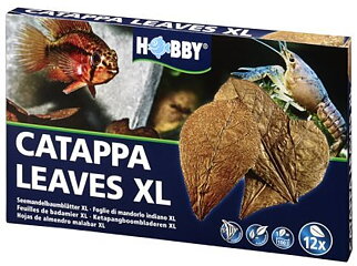 Hobby - Catappa Leaves XL