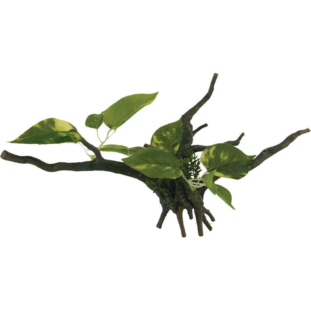 Ozami - Drivved planta B