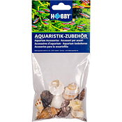 Hobby - Äkta snäckor Medium 10st