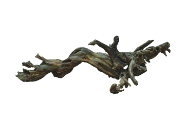 RockZolid - Driftwood 11