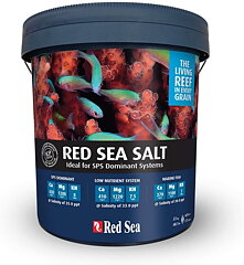 Red Sea - Salt 22kg