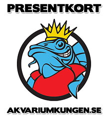 Presentkort - 400kr